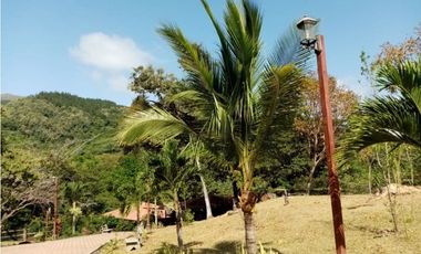 Se Vende Finca de Recreo 4.200 Mts Chame usd$89.29xMt2
