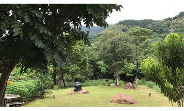 Se Vende Finca de Recreo 4.200 Mts Chame usd$89.29xMt2