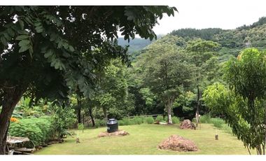 Se Vende Finca de Recreo 4.200 Mts Chame usd$89.29xMt2