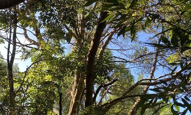 Parcela en Venta en Chinquihue Alto