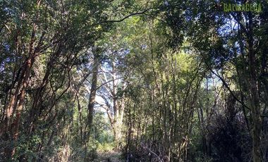 Parcela en Venta en Chinquihue Alto