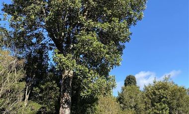 Parcela en Venta en Chinquihue Alto