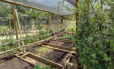 Casa en venta 2 dormitorios La Aurora Curacavi