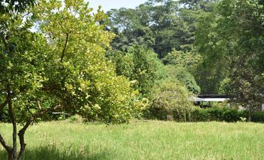 FINCA GANADERA SOBRE LA VIA QUE CONDUCE  A PUERTO SANTANDER