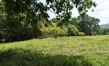 FINCA GANADERA SOBRE LA VIA QUE CONDUCE  A PUERTO SANTANDER