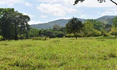 FINCA GANADERA SOBRE LA VIA QUE CONDUCE  A PUERTO SANTANDER