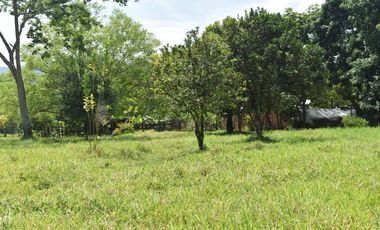 FINCA GANADERA SOBRE LA VIA QUE CONDUCE  A PUERTO SANTANDER