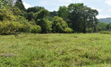 FINCA GANADERA SOBRE LA VIA QUE CONDUCE  A PUERTO SANTANDER