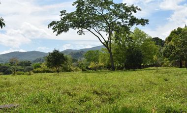 FINCA GANADERA SOBRE LA VIA QUE CONDUCE  A PUERTO SANTANDER