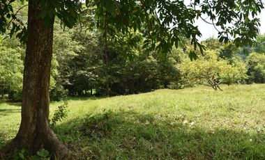 FINCA GANADERA SOBRE LA VIA QUE CONDUCE  A PUERTO SANTANDER