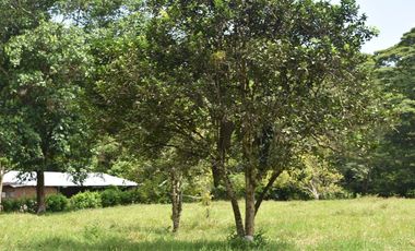 FINCA GANADERA SOBRE LA VIA QUE CONDUCE  A PUERTO SANTANDER