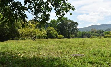 FINCA GANADERA SOBRE LA VIA QUE CONDUCE  A PUERTO SANTANDER