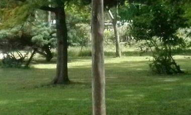 campo con casa y galpones