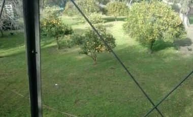 campo con casa y galpones
