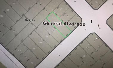 Terreno en venta en General Alvarado, Miramar