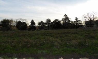 Terreno - Tandil