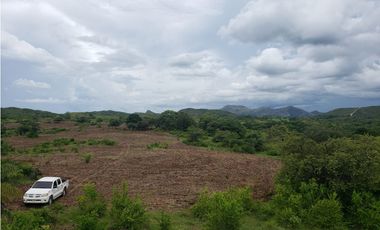SE VENDE LOTE DE 52 HECTAREAS UBICADA EN LA SOLEDAD DE OLA,