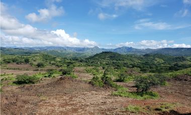 SE VENDE LOTE DE 52 HECTAREAS UBICADA EN LA SOLEDAD DE OLA,