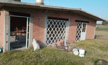 OBRA GRIS