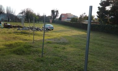 OBRA GRIS