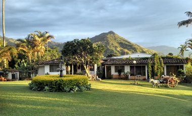 FINCA EN ARRIENDO EN VILLAMARIA