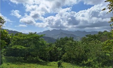 Finca Capira (ID 13081)