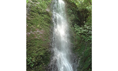 Finca Capira (ID 13081)