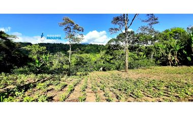 En venta terreno en Palmira |KH