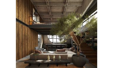 Listos para vivir en el paraiso? Proyecto ALTO- SURCO
