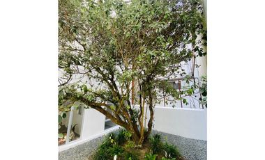 ARRIENDO LOCAL EN PALERMO, MANIZALES | ARRIENDOS EN MANIZALES