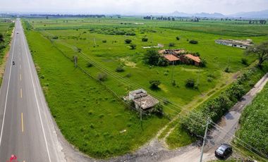 TERRENO en VENTA EN  TALA, JALISCO.