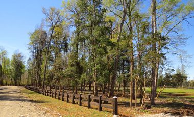 Condominio Vida Nueva, Camino A Freire, Sector Chucauco