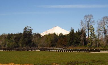 Condominio Vida Nueva, Camino A Freire, Sector Chucauco