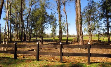 Condominio Vida Nueva, Camino A Freire, Sector Chucauco