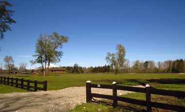 Condominio Vida Nueva, Camino A Freire, Sector Chucauco