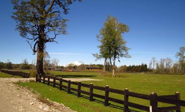 Condominio Vida Nueva, Camino A Freire, Sector Chucauco