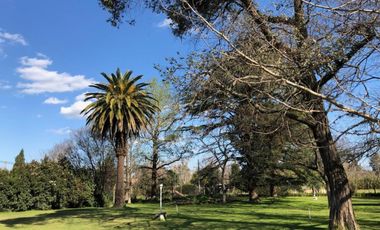 Quinta En Venta 4 Casas Sobre 16.500 m2 - La Reja, Moreno