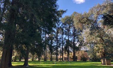 Quinta En Venta 4 Casas Sobre 16.500 m2 - La Reja, Moreno