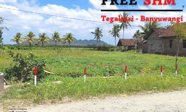Tanah dijual di Andongsari, Tegasari, Banyuwangi, Jawa Timur