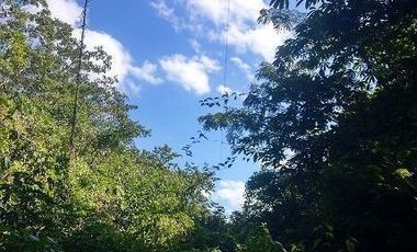 En venta terreno de 10 Has, con Cenote semi-abierto, cerca del hotel del Grupo X