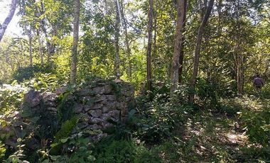 En venta terreno de 10 Has, con Cenote semi-abierto, cerca del hotel del Grupo X