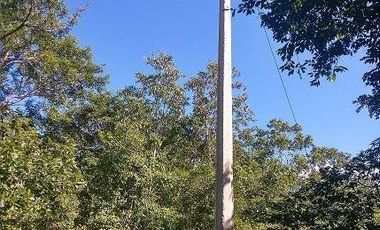En venta terreno de 10 Has, con Cenote semi-abierto, cerca del hotel del Grupo X