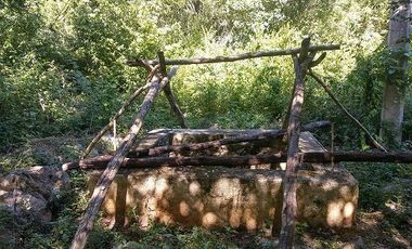 En venta terreno de 10 Has, con Cenote semi-abierto, cerca del hotel del Grupo X