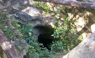 En venta terreno de 10 Has, con Cenote semi-abierto, cerca del hotel del Grupo X