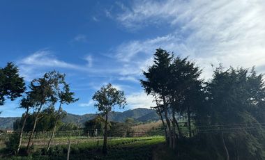 apartamento en arriendo en carmen de viboral. Cod A62036