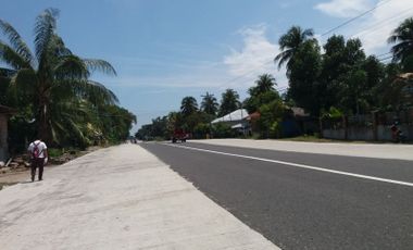 COMMERCIAL LOT IN DAUIN NEGROS ORIENTAL   -  S O L D -