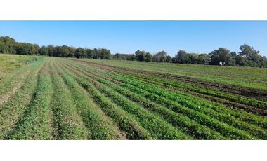 Oportunidad excelentes Lotes en Villa Esquiu