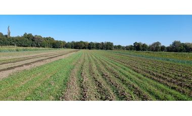 Oportunidad excelentes Lotes en Villa Esquiu