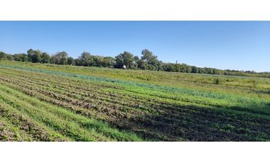 Oportunidad excelentes Lotes en Villa Esquiu