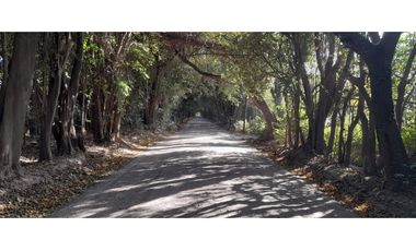 Oportunidad excelentes Lotes en Villa Esquiu